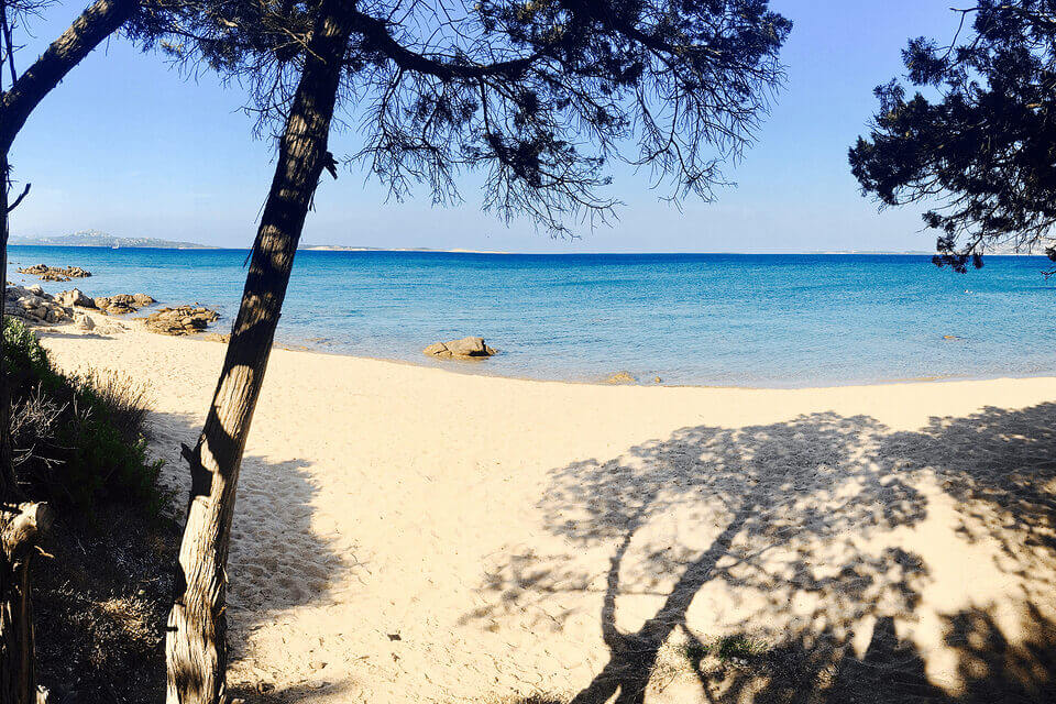 Eine ruhige Strandszene mit goldenem Sand und einem klaren, türkisfarbenen Meer. Schatten spendende Kiefern rahmen die ruhige Küste ein und werfen komplizierte Schatten auf den Sand. Über dem ruhigen Wasser sind in der Ferne Hügel zu sehen.