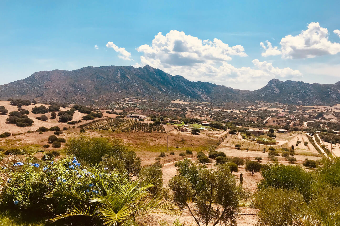 Ein Panoramablick auf eine ländliche Landschaft mit sanften Hügeln, einigen verstreuten Gebäuden und felsigen Bergen unter einem teilweise bewölkten Himmel. Im Vordergrund sind grüne Vegetation und einige leuchtend blaue Blumen zu sehen, die typisch für die Hotspots Sardiniens sind.