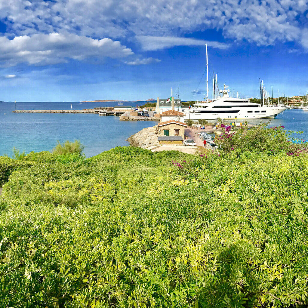 Panoramablick auf den lebhaften Küstenhafen von Porto Rotondo unter einem klaren blauen Himmel, mit üppigem grünem Laub im Vordergrund und einer Vielzahl vertäuter Boote, von kleinen Segelbooten bis zu großen Yachten, die eine malerische maritime Kulisse schaffen.