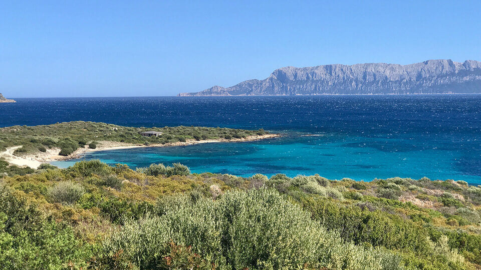 Ein Panoramablick auf eine üppige Küstenregion in der Nähe von Olbia mit dichtem grünem Buschwerk, einem klaren türkisfarbenen Meer und Bergketten in der Ferne unter einem strahlend blauen Himmel.