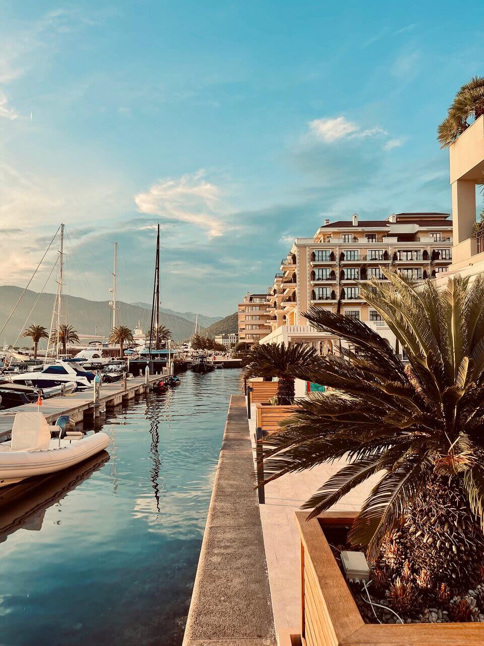 Ein ruhiger Yachthafen in Porto Montenegro mit Luxusyachten, die an einem Wasserweg ankern, der von einem Gehweg mit tropischen Palmen gesäumt ist. Moderne Apartmentgebäude überblicken die Umgebung, mit Bergen und einem klaren Himmel im Hintergrund.